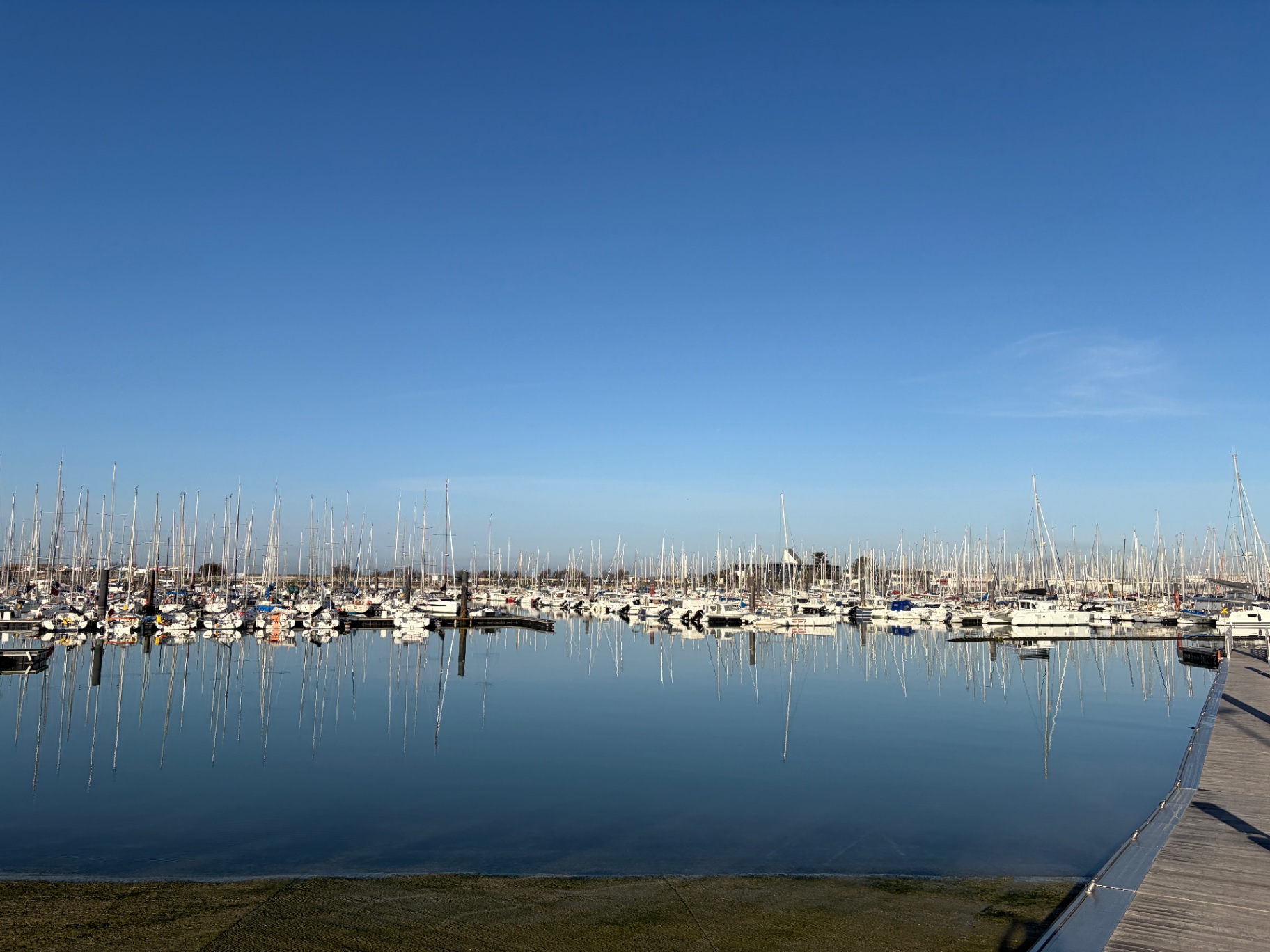 Calm-water marina inspection on a still winter morning